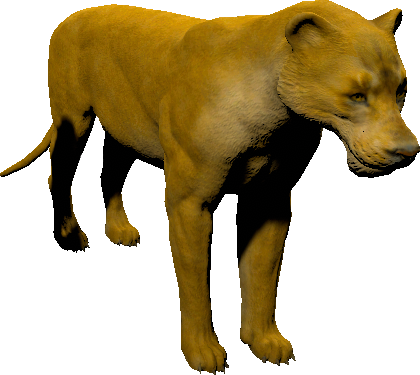 mob_level_22_lioness.png mob_level_22_lioness.png