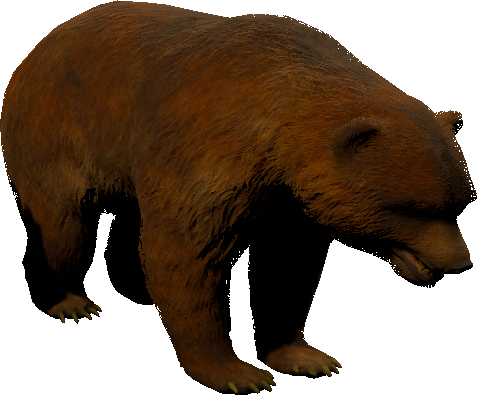 mob_level_18_brown-bear.png mob_level_18_brown-bear.png