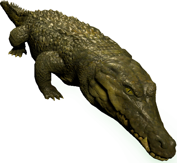 mob_level_31_dirty-crocodile.png mob_level_31_dirty-crocodile.png