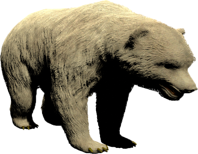 mob_level_49_polar-bear.png mob_level_49_polar-bear.png