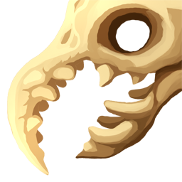 Cráneo de Cocodrilo