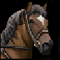 horse.png