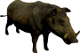 mob_level_7_boar.png