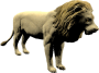 mob_level_51_white-lion.png