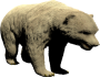 mob_level_49_polar-bear.png