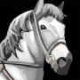 horse_white.png