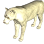 lioness.png