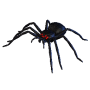 spider_dark.png