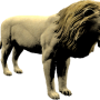 mob_level_51_white-lion.png