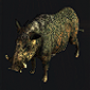 boar_pet.png