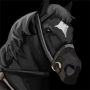 horse_black.png