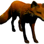 mob_level_1_fox.png