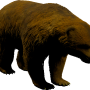 mob_level_16_bear.png