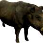 mob_level_7_boar.png